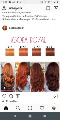 2023 Hair Trends For Women 30, Copper Hair Formula Igora, Bright Copper Hair Balayage, Ginger Beer Hair Color, Orange Copper Hair Color, Honey Red Hair, Dark Copper Hair Color, Ginger Hair Dyed