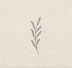 a black and white drawing of a plant on a beige fabric textured wallpaper