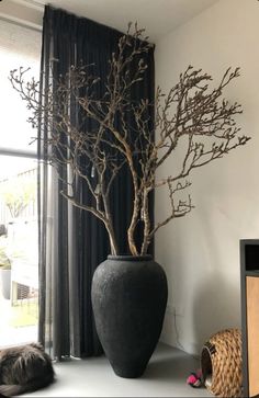 a black vase with branches in it sitting on a table next to a large window