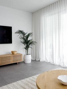 a living room with a large screen tv on the wall and a potted plant in front of it