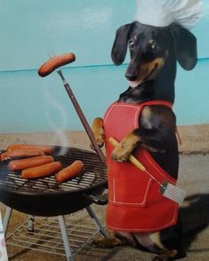 a dachshund dog standing next to a grill with hot dogs on it