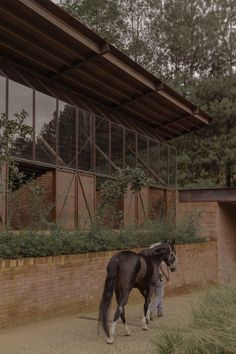 a black and white horse standing next to a brick wall in front of a building