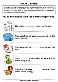 the worksheet for reading and writing about animals