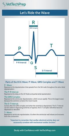 the waveform diagram shows how it is used to perform an electrical test for waves