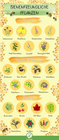 a poster with different types of flowers and plants on it's sides, including the names