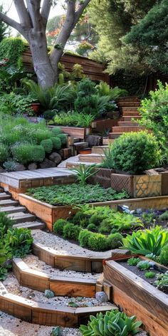 an outdoor garden with wooden steps leading up to the trees and plants growing in them