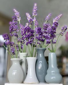 three vases with purple flowers in them on a shelf