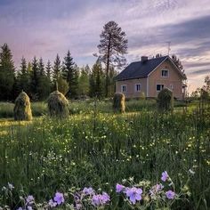 a house in the middle of a field with purple flowers around it and trees on either side