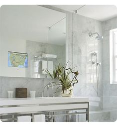 a bathroom with a sink, mirror and plants in the corner on the counter top