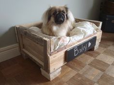 a small dog sitting in a wooden crate