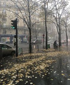 a city street with fallen leaves on the ground