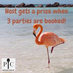 a pink flamingo standing in shallow water with the words host gets a prize when 3 parties are booked