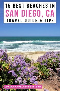 the beach in san diego, ca with purple flowers and blue skies above it text reads 15 best beaches in san diego, ca travel guide & tips