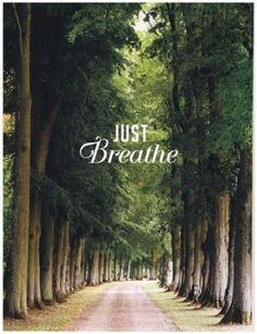 an instagram page with the words just breathe on it and trees in the background