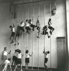 a group of people hanging upside down from the ceiling in front of a wall with bars attached to it