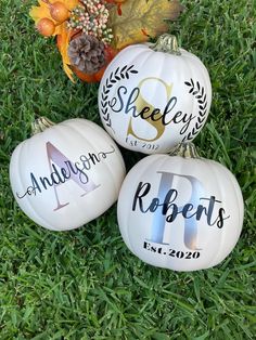 three painted pumpkins sitting in the grass