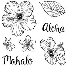 hawaiian flowers and leaves with the word aloho in black ink on a white background