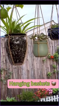 three hanging baskets with plants in them