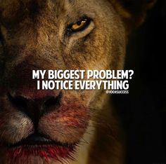 a lion with the words, my biggest problem? i notice everything