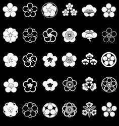 an array of white flowers on a black background, all in different sizes and shapes