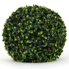 a bush with red berries on it is in the shape of a ball or sphere