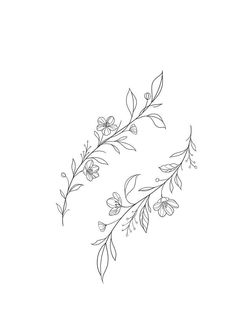 a line drawing of flowers and leaves on a white background