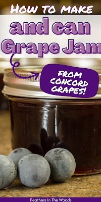 an image of how to make and can grape jam from concord crafty book cover