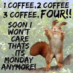 a squirrel sitting on top of a tree branch with the words coffee, 2 coffee, four