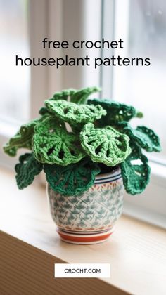 a crocheted potted plant sitting on top of a window sill with the words free crochet houseplant patterns