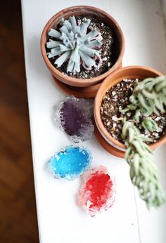 three potted plants sitting next to each other on top of a white countertop