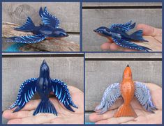 four different pictures of blue and orange birds