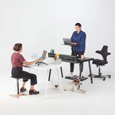 two people sitting at desks in front of laptop computers and a dog laying on the floor