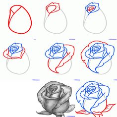 how to draw a rose step by step