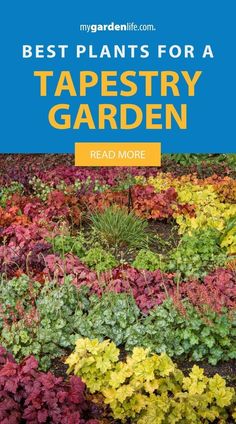 colorful garden with text that reads best plants for a tapestryry garden read more