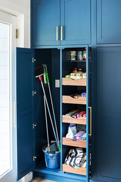 a blue cabinet with some cleaning supplies in it