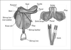 the parts of a horse's saddle