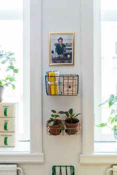 a room with two windows and some plants on the wall