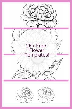 the 25 + free flower templates are available for all kinds of flowers, including roses