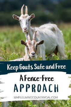 two goats with the words keep goats safe and free in front of them, on top of