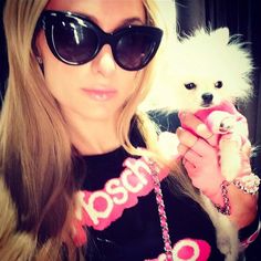 a woman in sunglasses holding a small dog