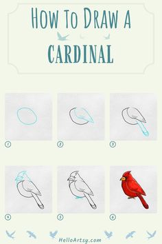 6 drawings demonstrating how to draw a how to draw a cardinal for kids. How To Draw Cardinal Birds, How To Draw Cardinal, Watercolor Cardinal Easy, How To Draw A Cardinal Step By Step, Draw A Cardinal, How To Draw A Red Bird, Drawing Cardinals, Red Cardinal Painting Easy, Female Cardinal Drawing