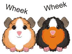 two hamsters sitting next to each other with the words wheel on them