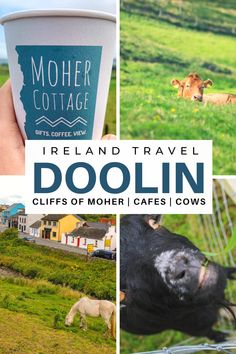 there is a collage of pictures with the words ireland travel doolin, cliffs of mother capes and cows