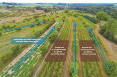 an aerial view of a field with blue arrows pointing to different areas in the area