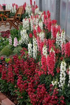 many different colored flowers in front of a building