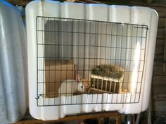 a caged in rabbit sitting on top of hay