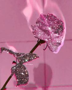 a pink rose with some glitter on it