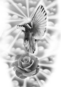 a black and white photo of a bird flying over a rose