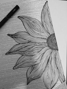 Flowers Sketch, Sketch Art, Sketch