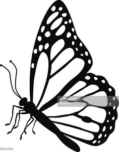 a black and white drawing of a butterfly